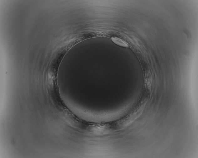 X0000113260235200909241529