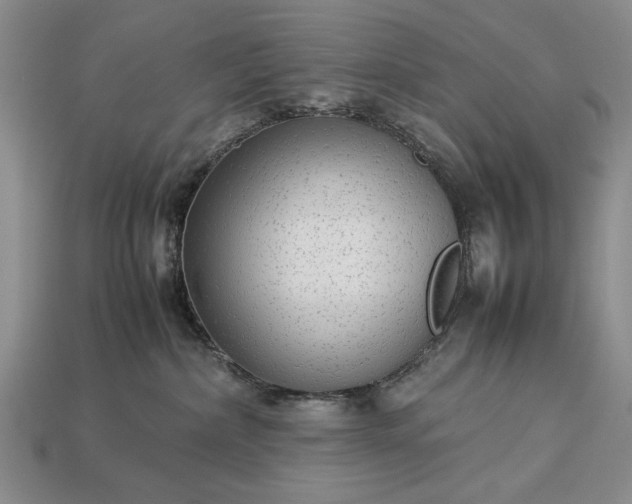 X0000113260236200909241529