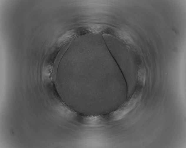 X0000113260237200909241529