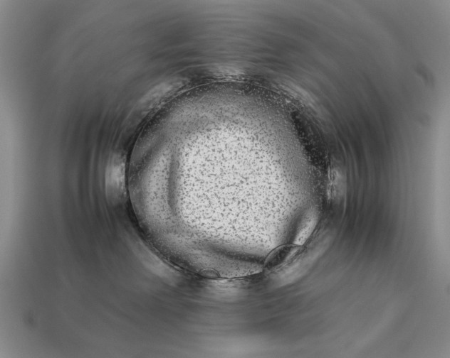 X0000113260238200909241529