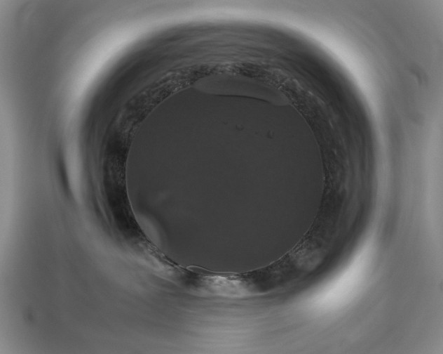 X0000113260239200909241529