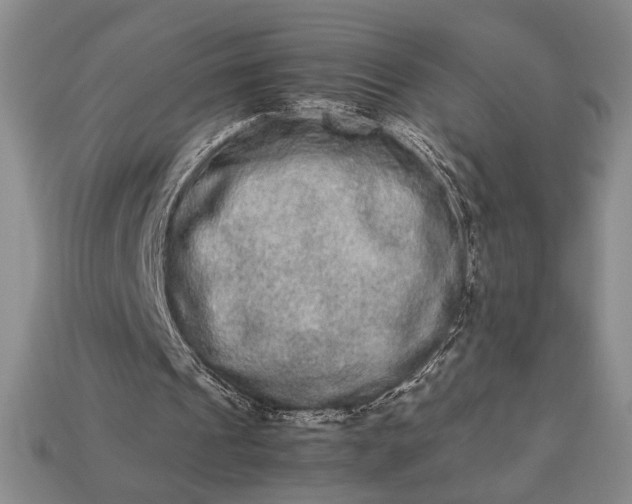 X0000113260241200909241528