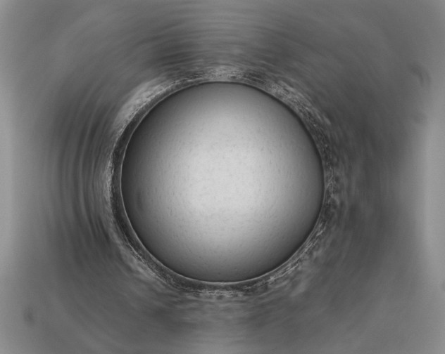 X0000113260242200909241528