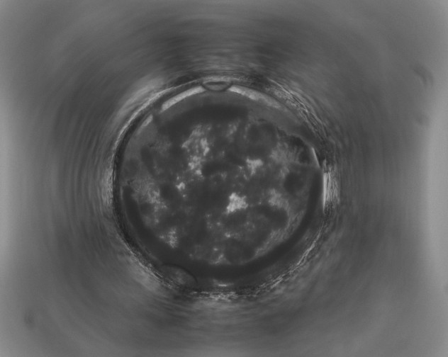 X0000113260243200909241528