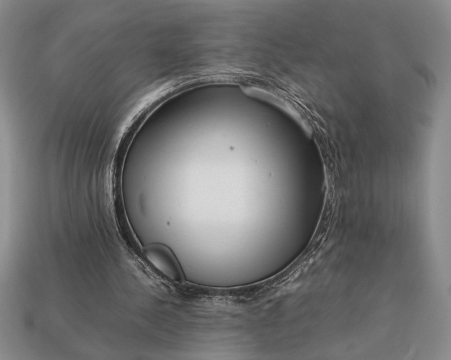 X0000113260244200909241528