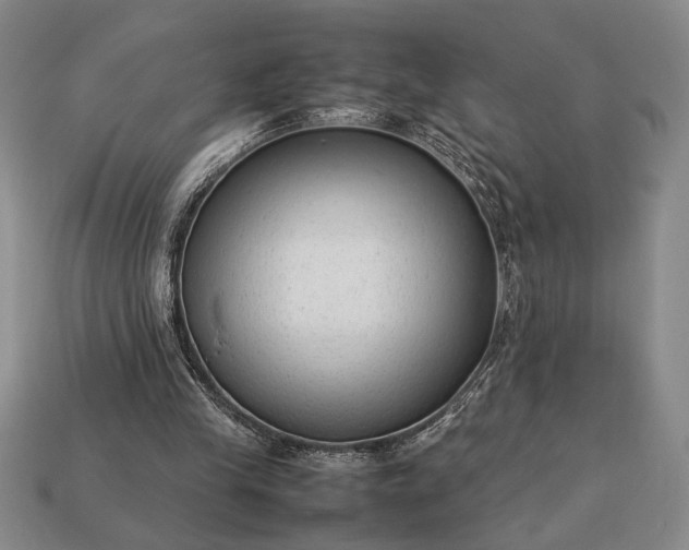 X0000113260245200909241528