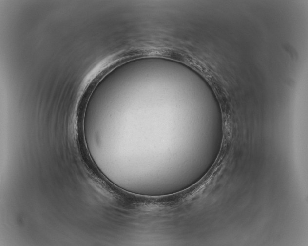 X0000113260246200909241528