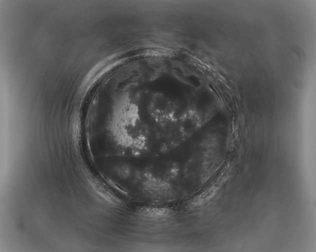 X0000113260247200909241528