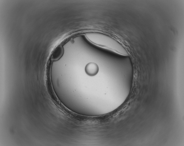 X0000113260248200909241528