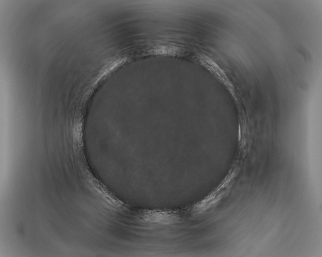 X0000113260249200909241528