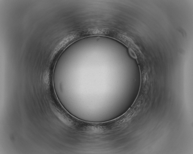 X0000113260250200909241528