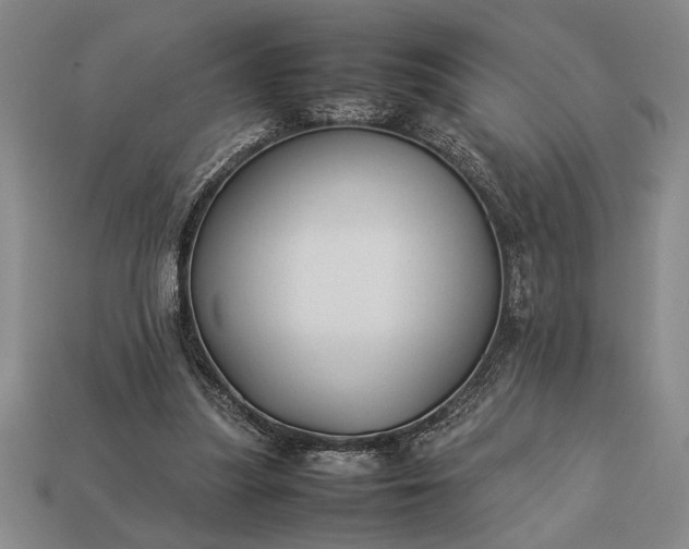 X0000113260251200909241528