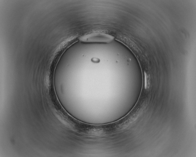 X0000113260252200909241528