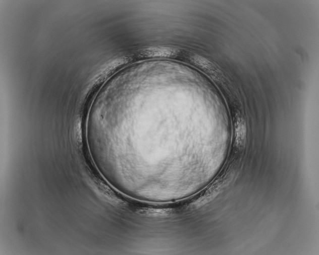 X0000113260254200909241528