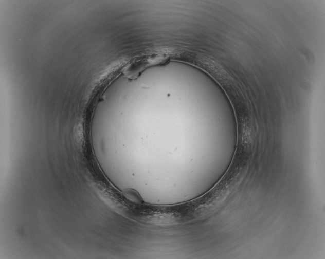 X0000113260256200909241528