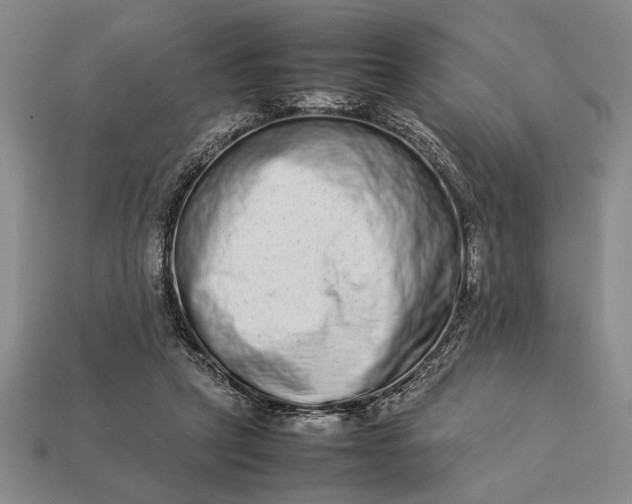 X0000113260257200909241528