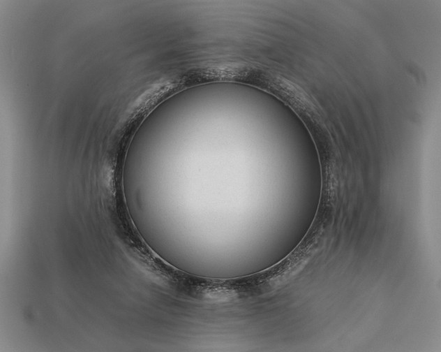 X0000113260258200909241528