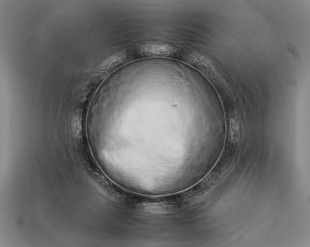 X0000113260259200909241528