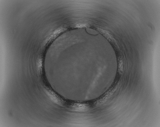 X0000113260260200909241528