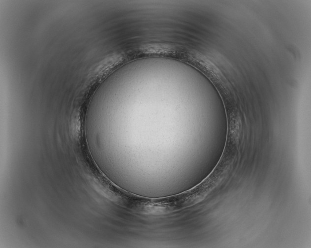 X0000113260261200909241528