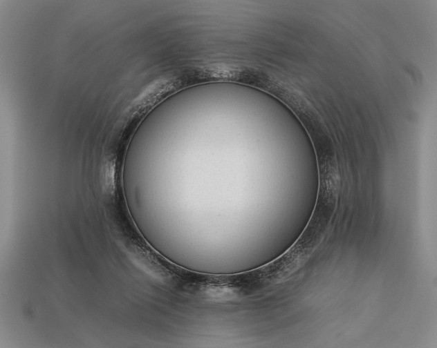 X0000113260262200909241528