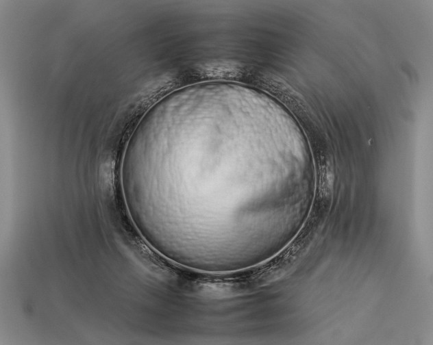 X0000113260263200909241528