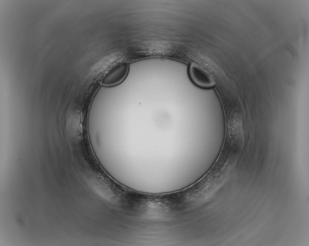 X0000113260264200909241528