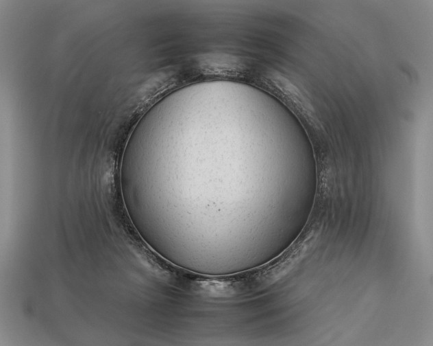 X0000113260265200909241528