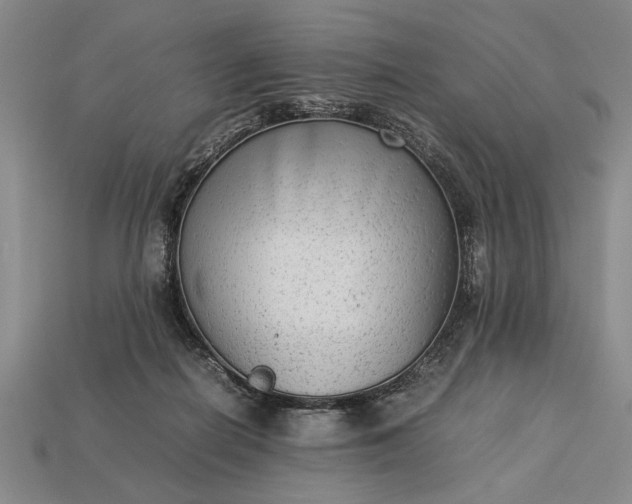 X0000113260266200909241528