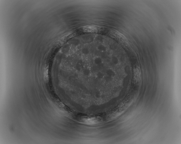 X0000113260267200909241528