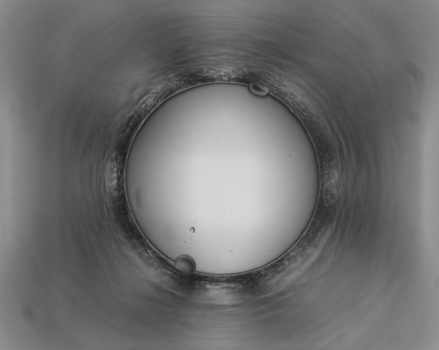 X0000113260268200909241528