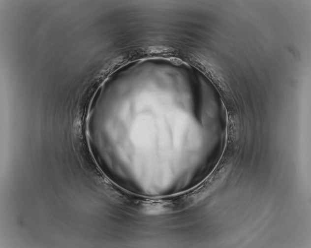 X0000113260269200909241528