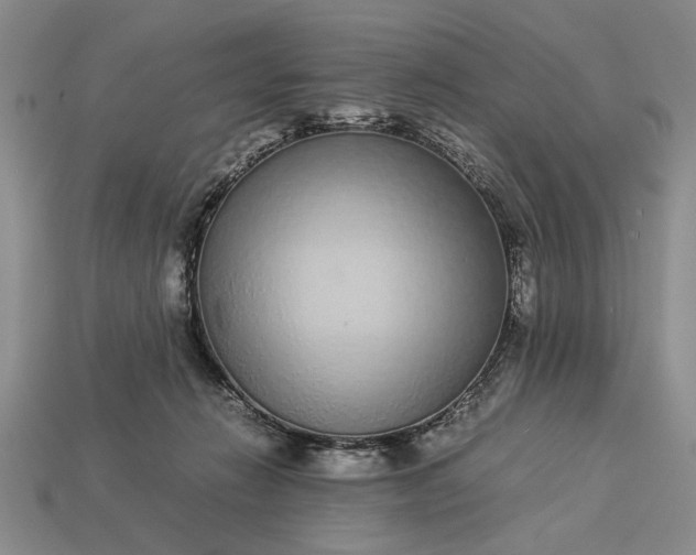 X0000113260270200909241528