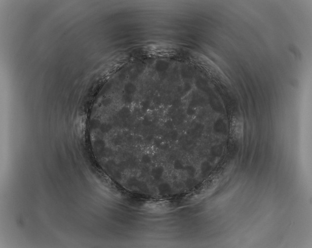 X0000113260271200909241528