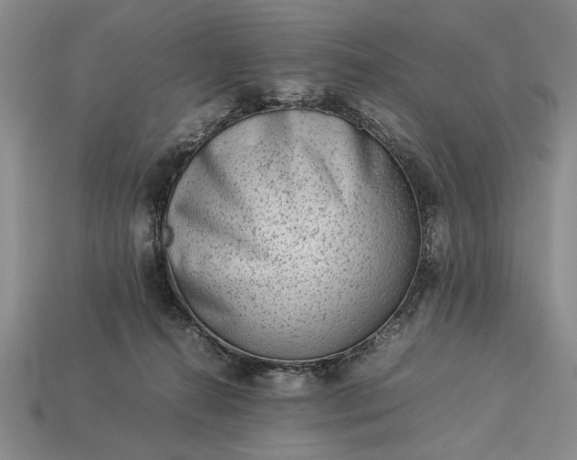 X0000113260272200909241528