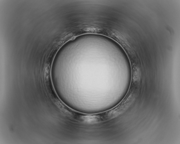 X0000113260273200909241528