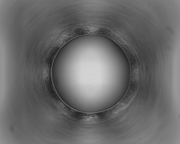 X0000113260274200909241528