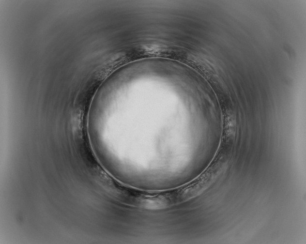 X0000113260275200909241528