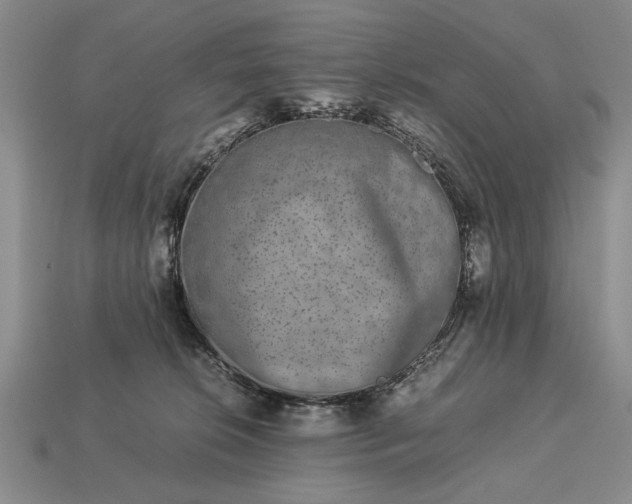 X0000113260276200909241529