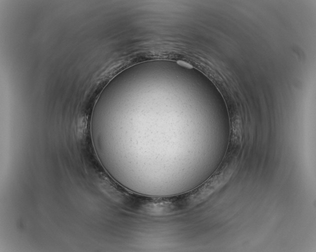 X0000113260278200909241529