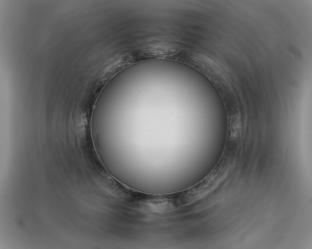 X0000113260279200909241529