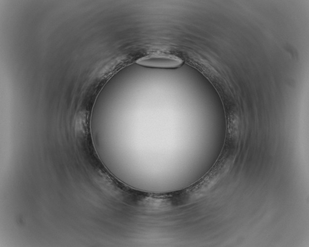 X0000113260280200909241529