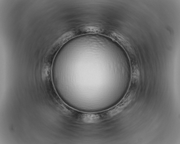 X0000113260281200909241529