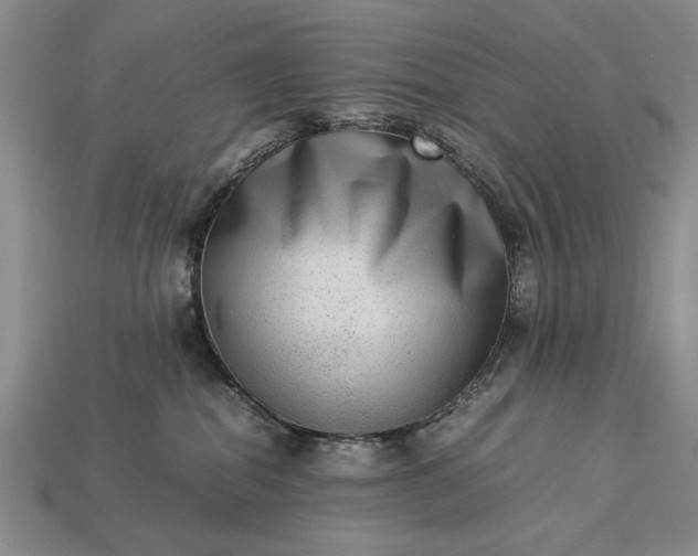 X0000113260282200909241529