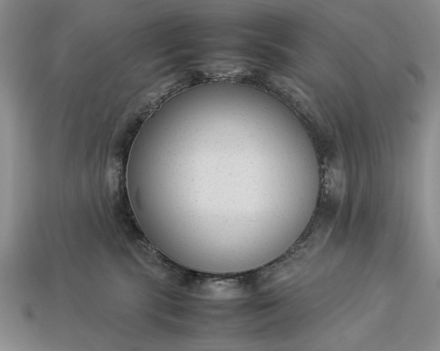 X0000113260283200909241529