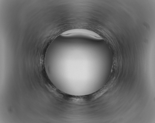 X0000113260284200909241529