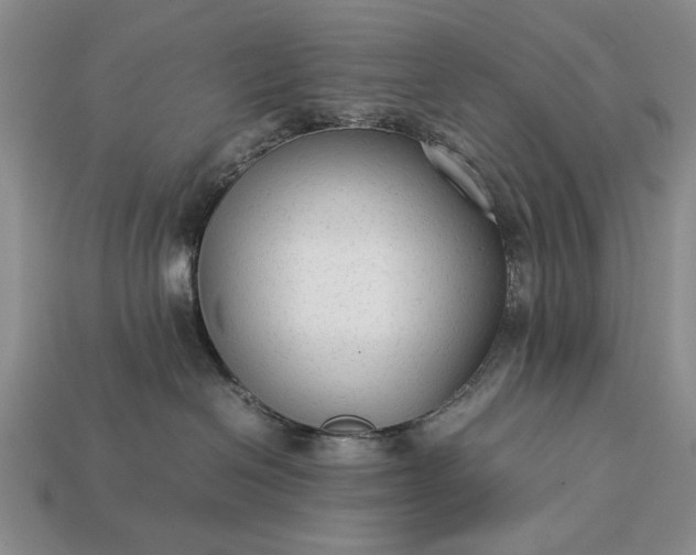 X0000113260286200909241529