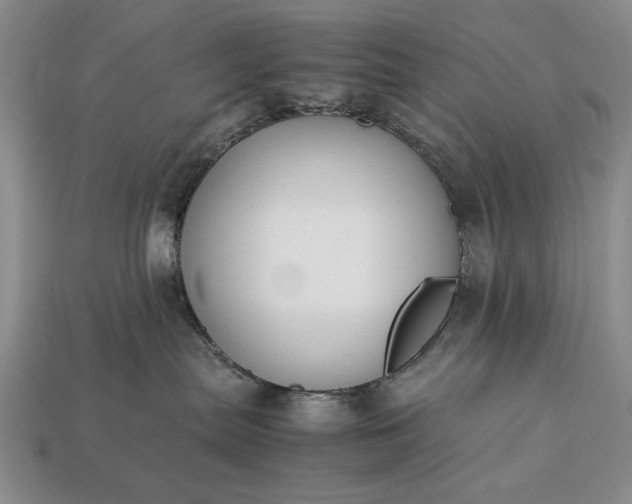 X0000113260287200909241529