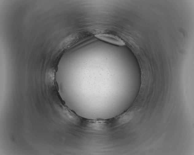 X0000113260288200909241529