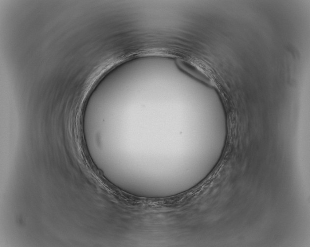 X0000113260289200909241528